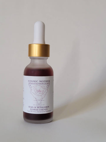 Star Bethlehem Flower Essence | Vibrational Remedy