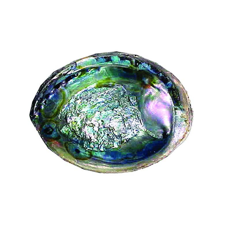Green Abalone Shell – 6–7” Smudging Bowl