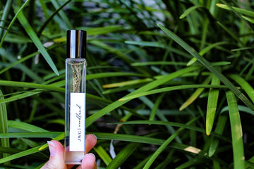Woodland Organic Perfume Oil Roller – Sandalwood, Cedarwood & Vanilla