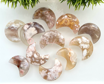 1 lb Natural Flower Agate Crystal Moon Healing Lot