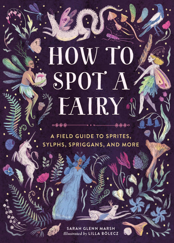 How to Spot a Fairy – Illustrated Children’s Guide to Fairies, Folklore & Magical Creatures