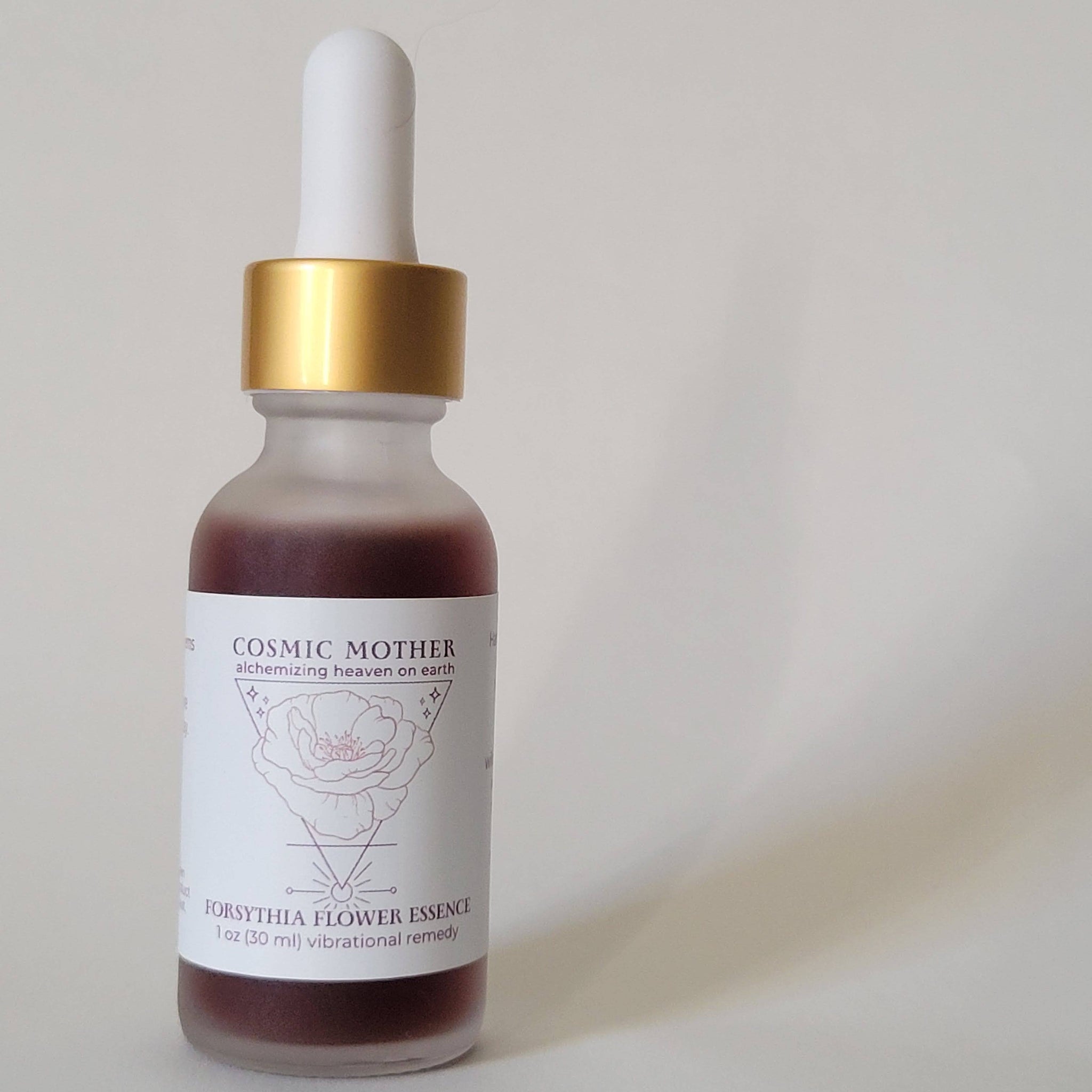 Forsythia Flower Essence | Homeopathic Vibrational Remedy