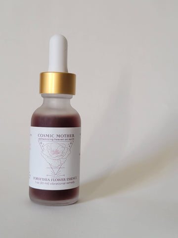 Forsythia Flower Essence | Homeopathic Vibrational Remedy