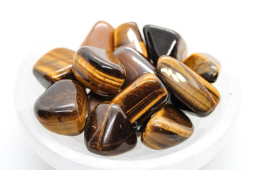 Yellow Tiger Eye Tumbled Stone 20-30mm