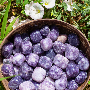 Lepidolite Tumbled Stone