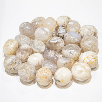 Snow Agate Tumbled Stone 20-30mm