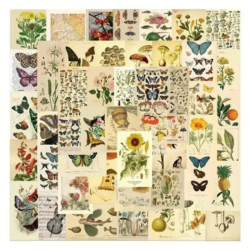 Vintage Styled Botanical Colorful Stickers, Journaling, DIY