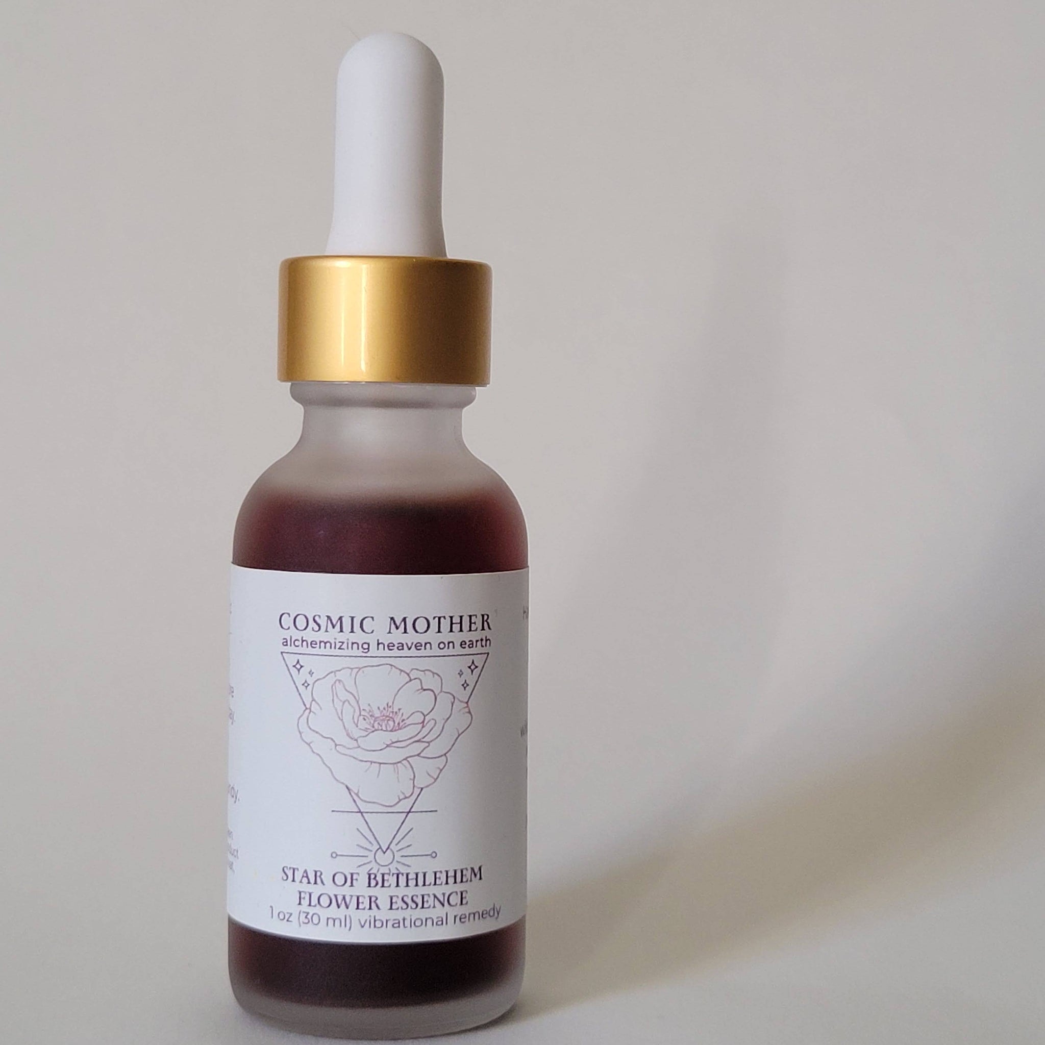 Star Bethlehem Flower Essence | Vibrational Remedy