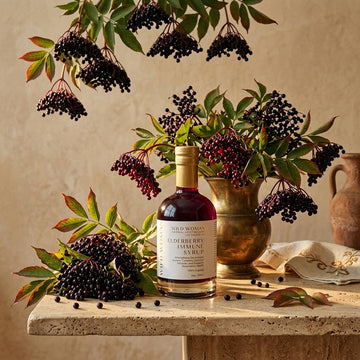Elderberry Herbal Syrup | Rosehips, Ginger, Cinnamon & Clove