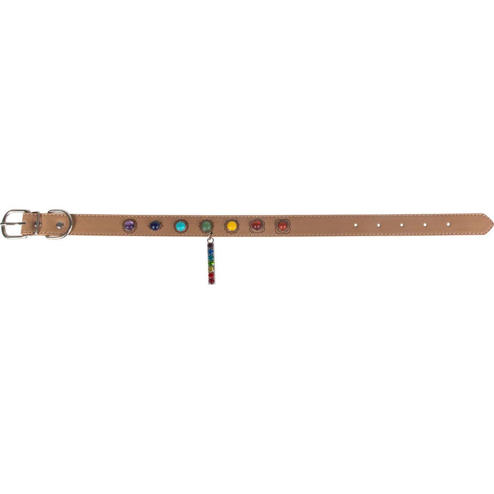Seven Chakra Vegan Leather Dog Collar – Size Large
