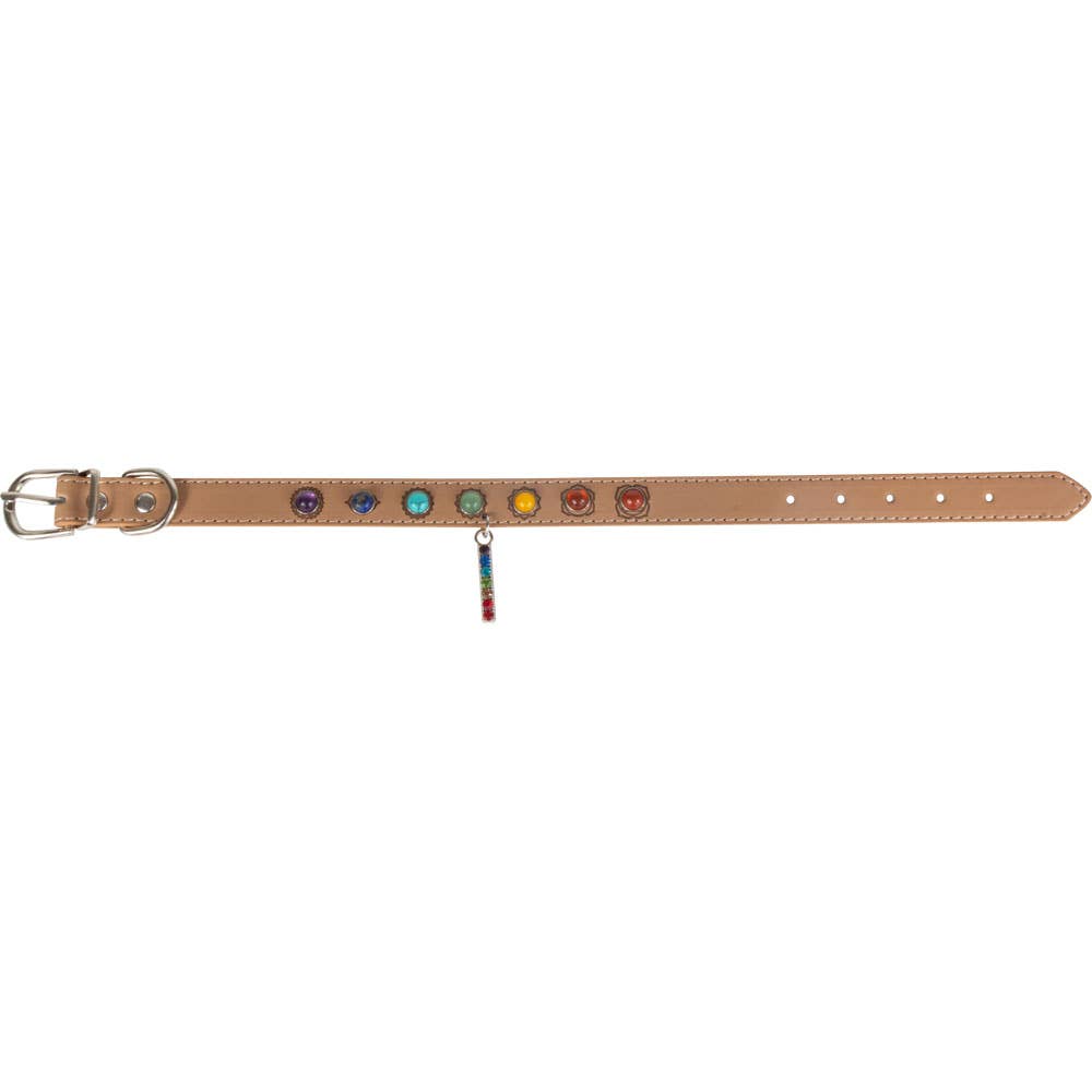 Seven Chakra Vegan Leather Dog Collar – Size Medium