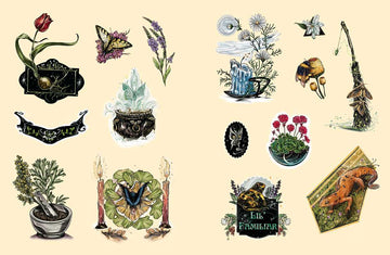 Green Witch’s Sticker Book by Arin Murphy-Hiscock – 600+ Botanical & Magical Stickers