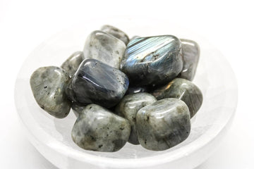 Labradorite Tumbled  20-30mm Stone