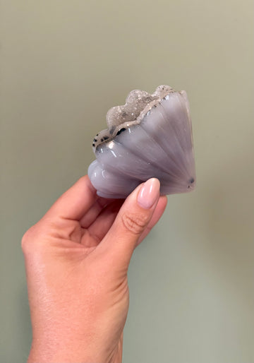 Natural Druzy Agate Shell | Genuine Crystal Shell