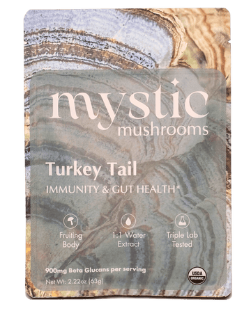 Turkey Tail