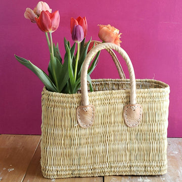 Small Woven Straw Tote Bag with Neutral Handles