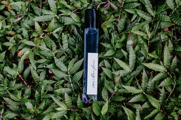Blue Flower Organic Perfume Oil Roller – Blue Tansy & Jasmine