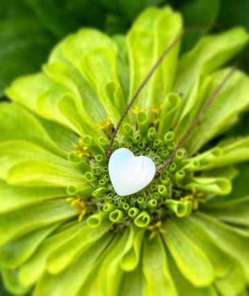 Mother of Pearl White Heart Cord Necklace – 16” with Sterling Silver Clasp