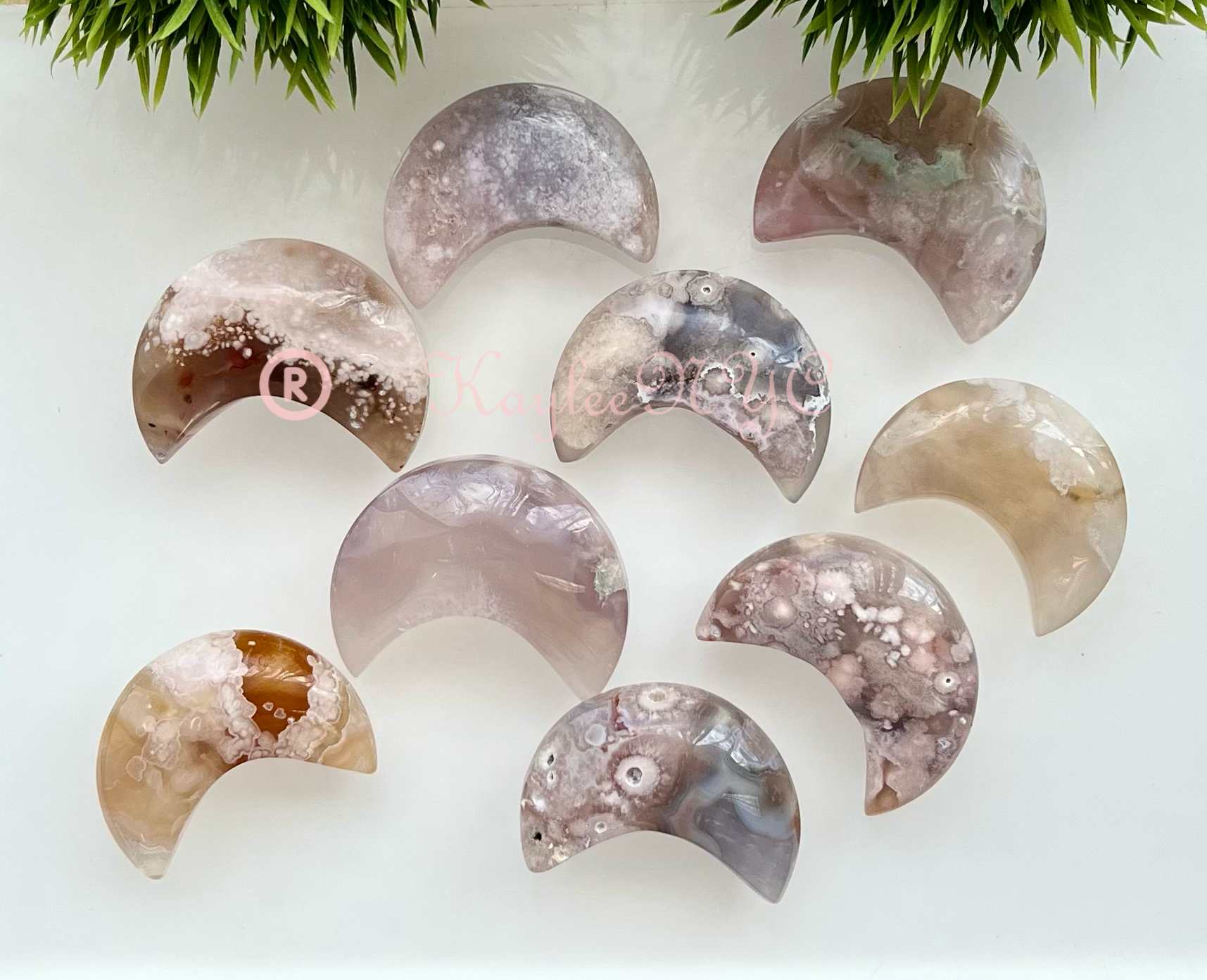 1 lb Natural Flower Agate Crystal Moon Healing Lot