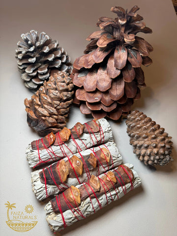 White Sage & Pine Cone Cleansing Bundle