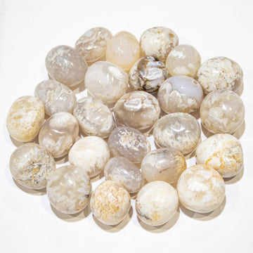 Snow Agate Tumbled Stone 20-30mm