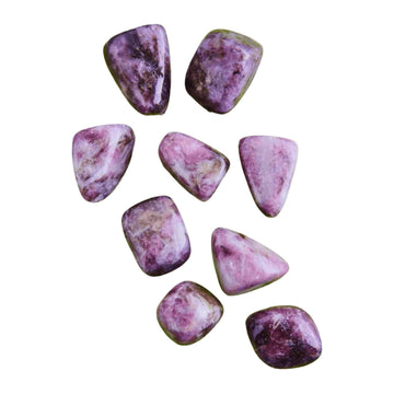 Lepidolite Tumbled Stone